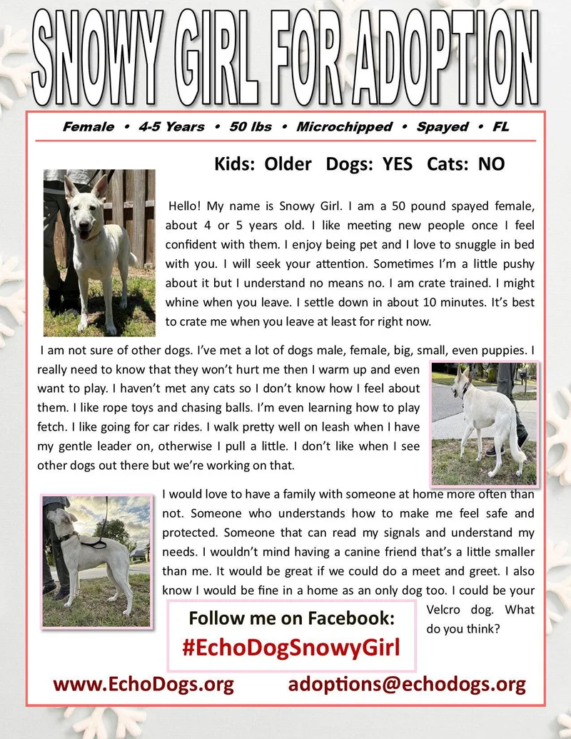 Snowygirl thumbnail 3