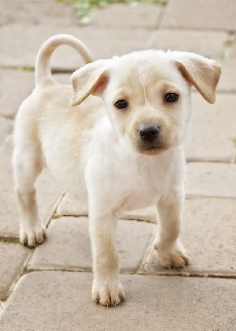 Little Miss thumbnail 2