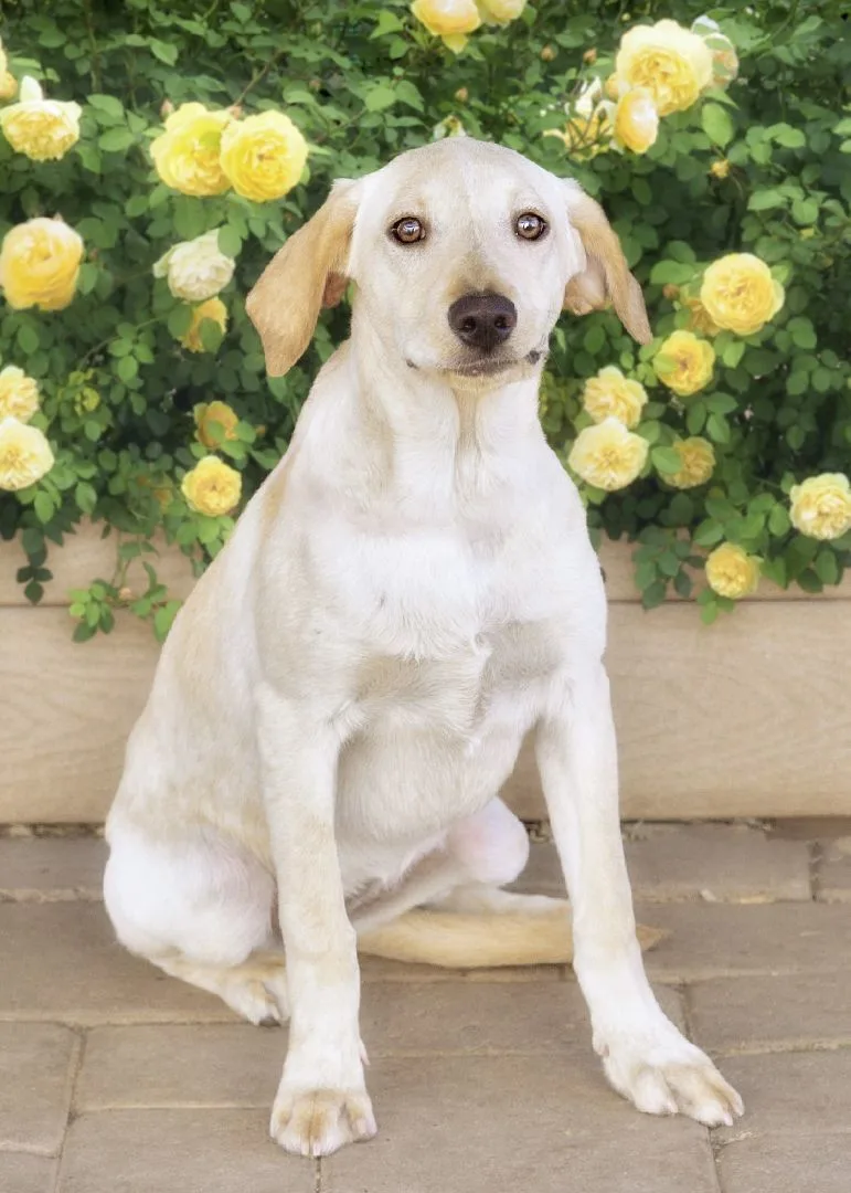 Little Miss thumbnail 3