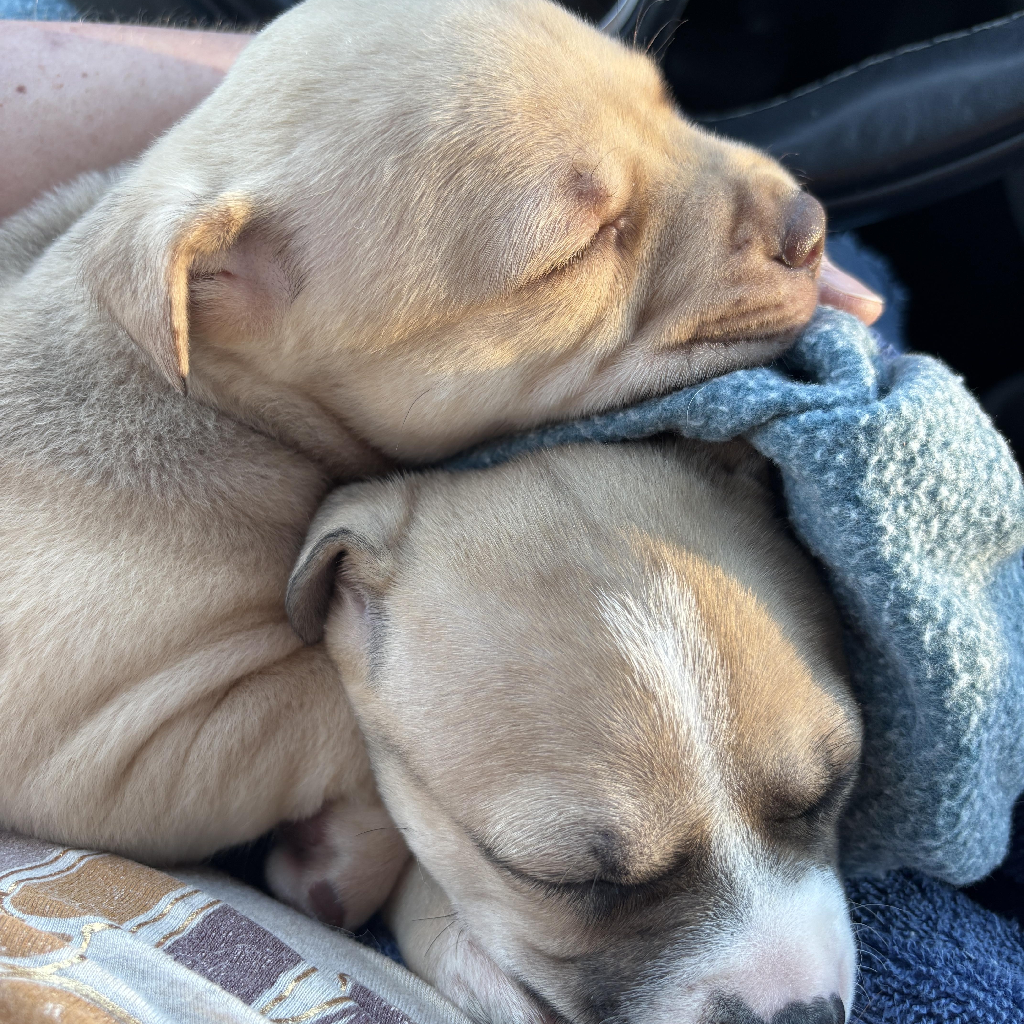 Taylor Swift thumbnail 3