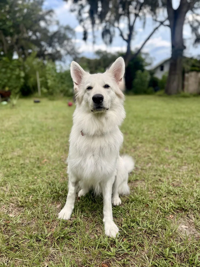 Luna Marie