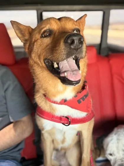 Clifford
