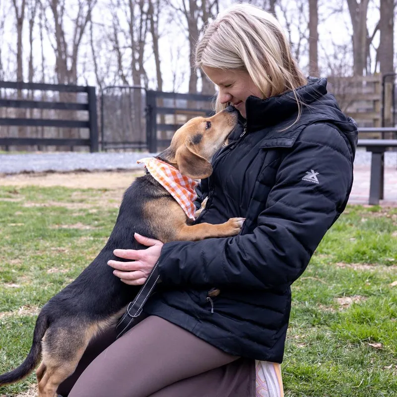 Rockyavail thumbnail 4