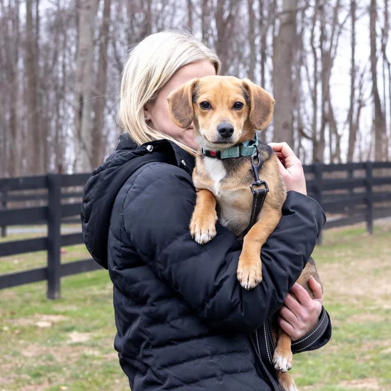 Rockyavail thumbnail 6