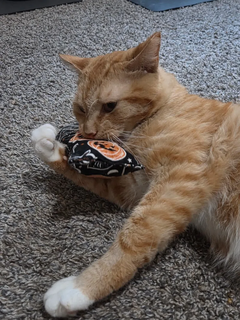 Garfield thumbnail 5