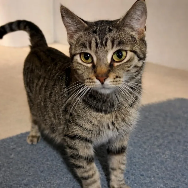 Moma Frida thumbnail 2