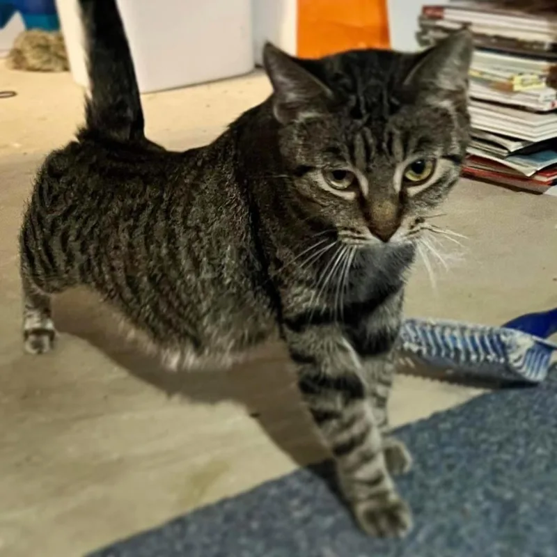 Moma Frida thumbnail 3