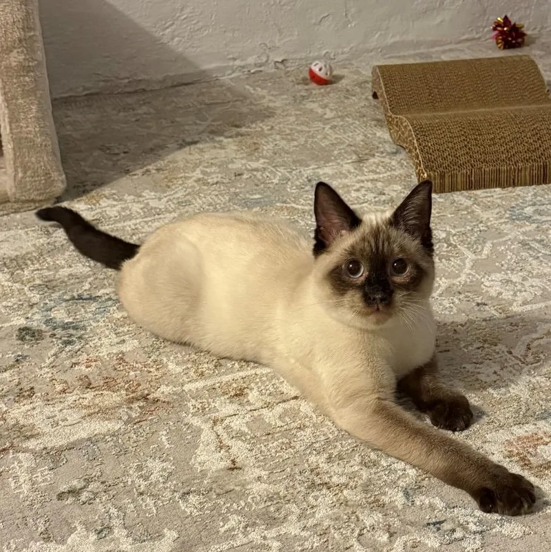 Marlo Delgado thumbnail 2