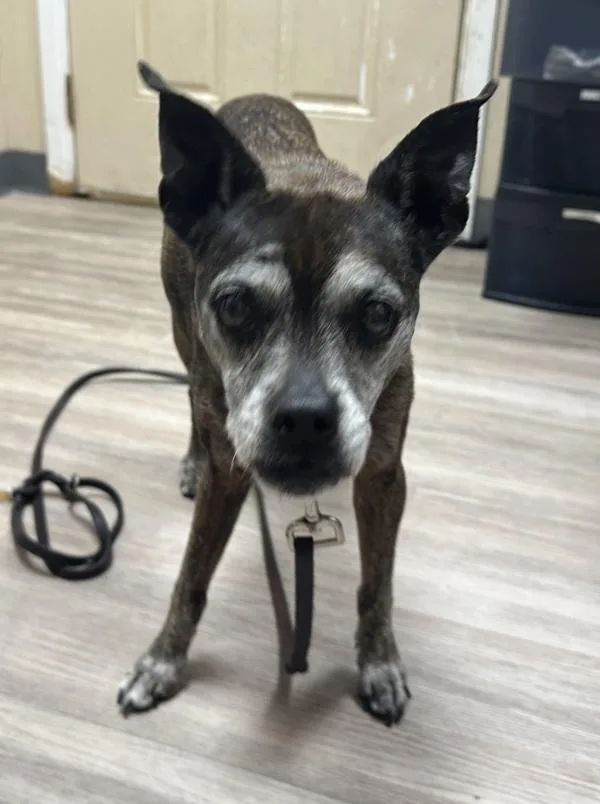 Coco