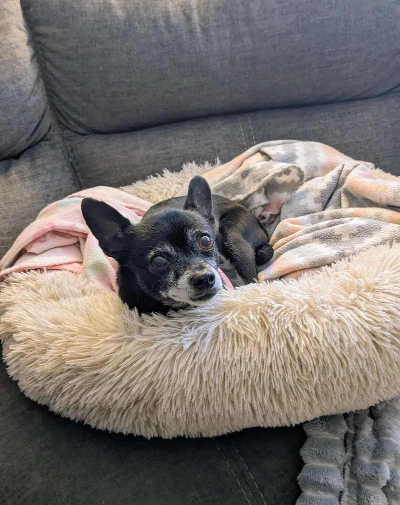 Maybelline thumbnail 2