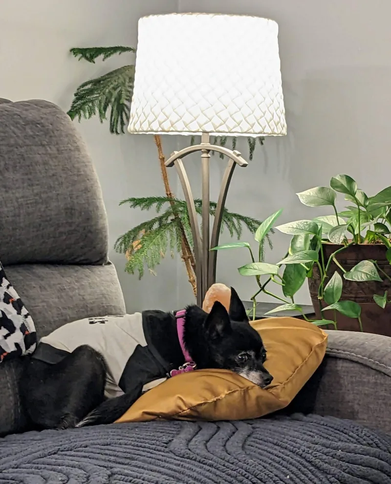 Maybelline thumbnail 3