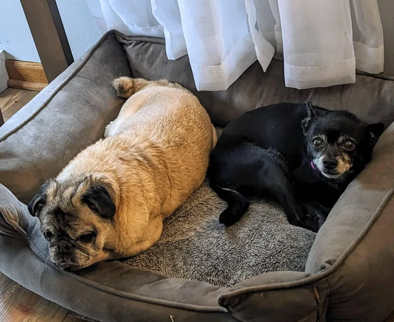 Maybelline thumbnail 4