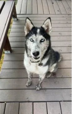 Courtesy Listing Kenai