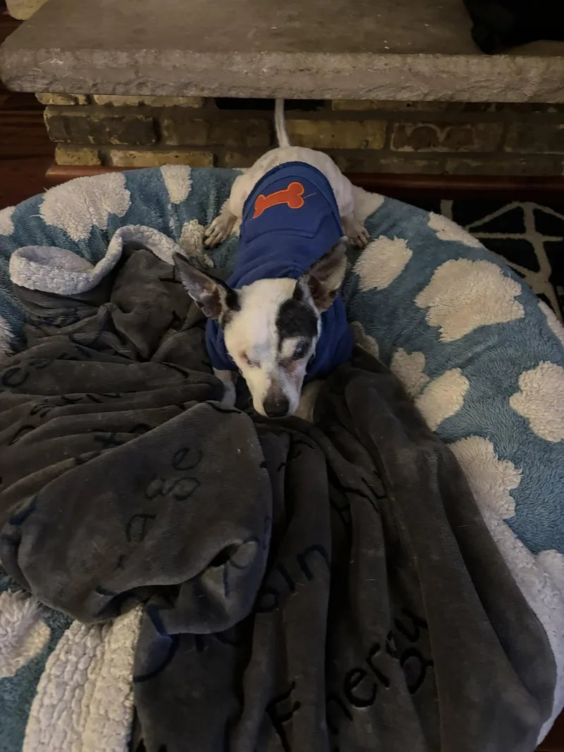 Jack Sparrow thumbnail 3