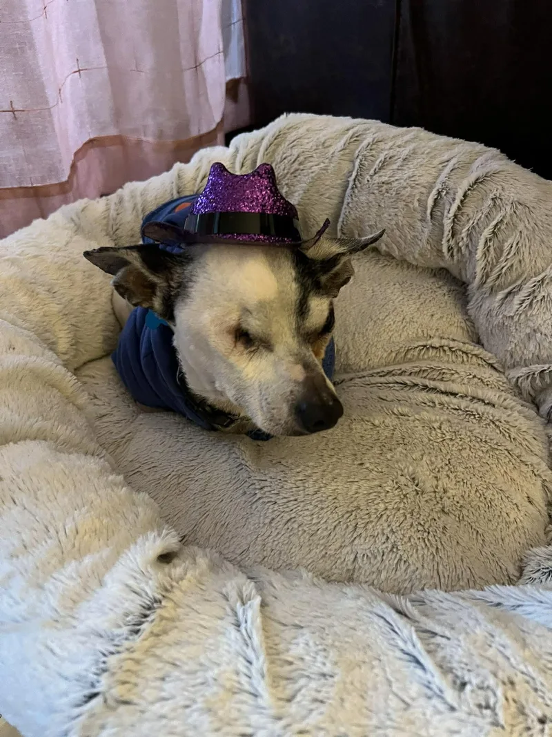 Jack Sparrow thumbnail 5