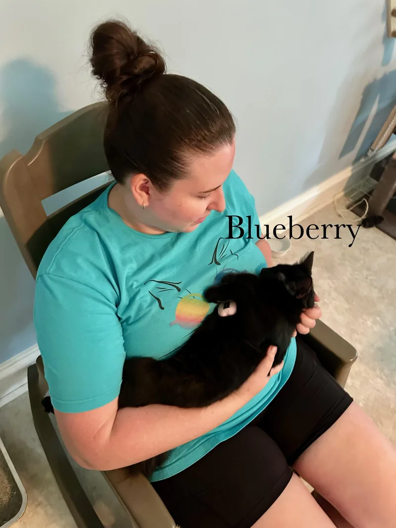 Blueberry thumbnail 2