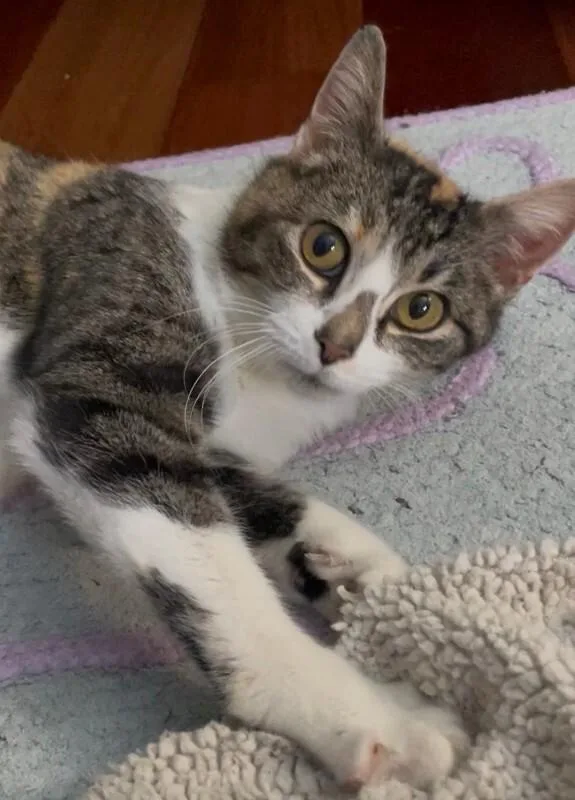Leah thumbnail 3