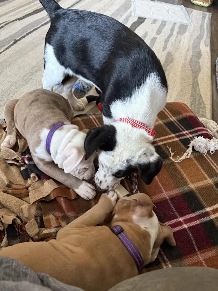 Miller Baby thumbnail 3