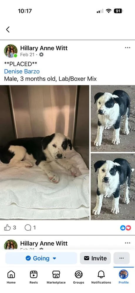 Miller Baby thumbnail 4