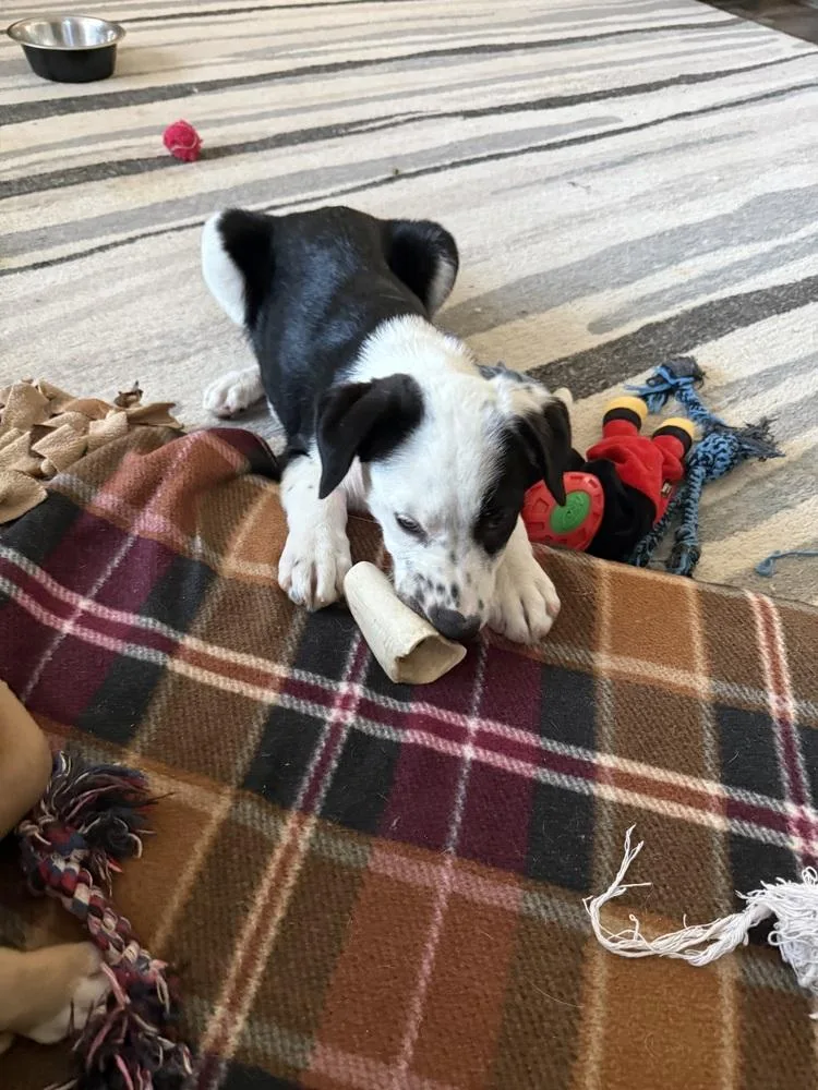 Miller Baby thumbnail 5