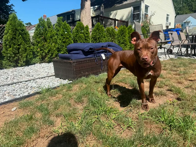 Lola thumbnail 7