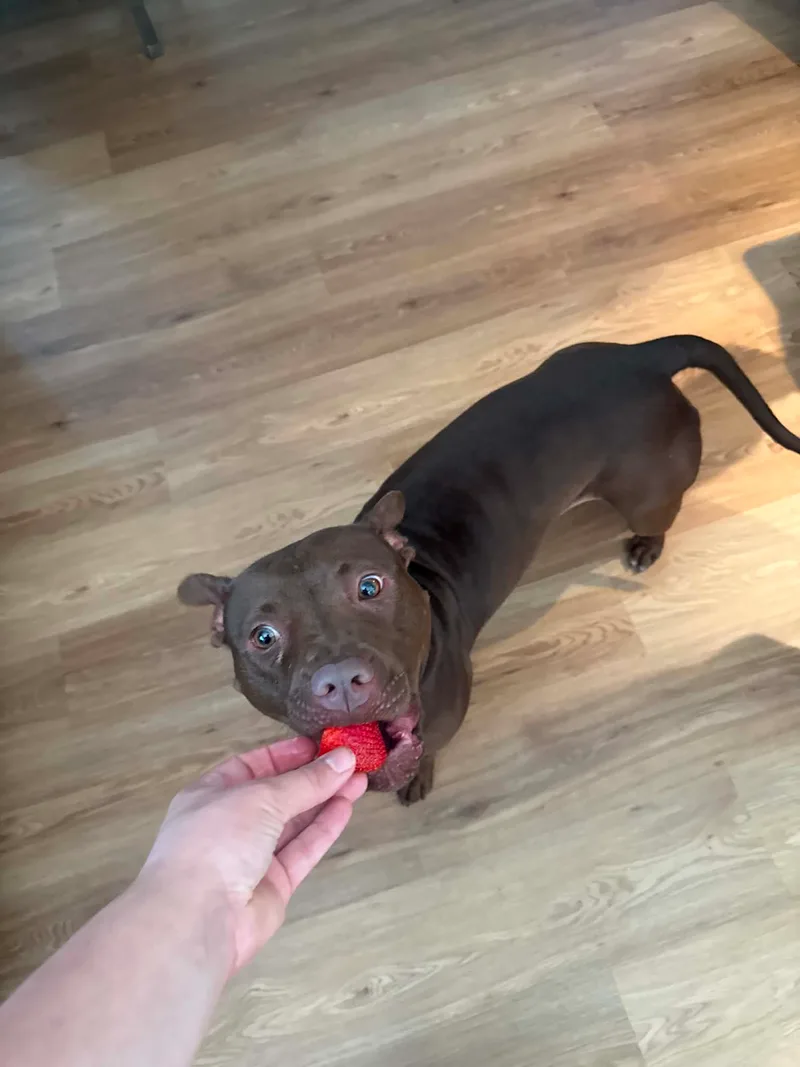 Lola thumbnail 14