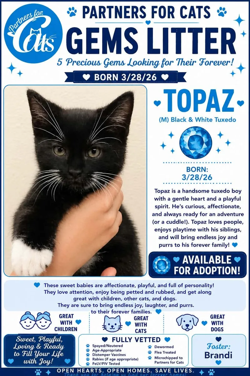Topaz thumbnail 2