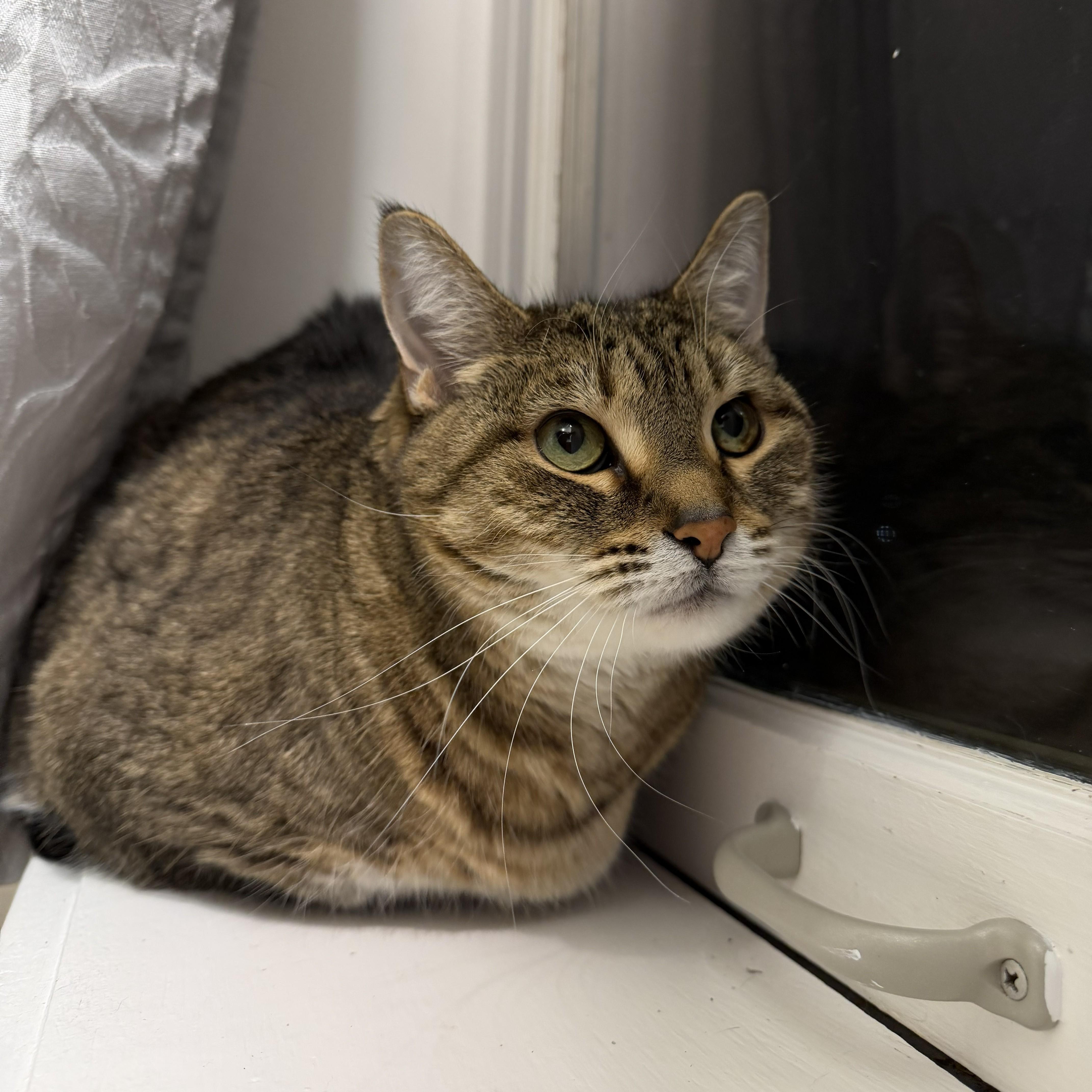 Mocha & Lacey thumbnail 5