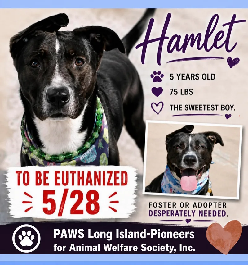 Hamlet thumbnail 2