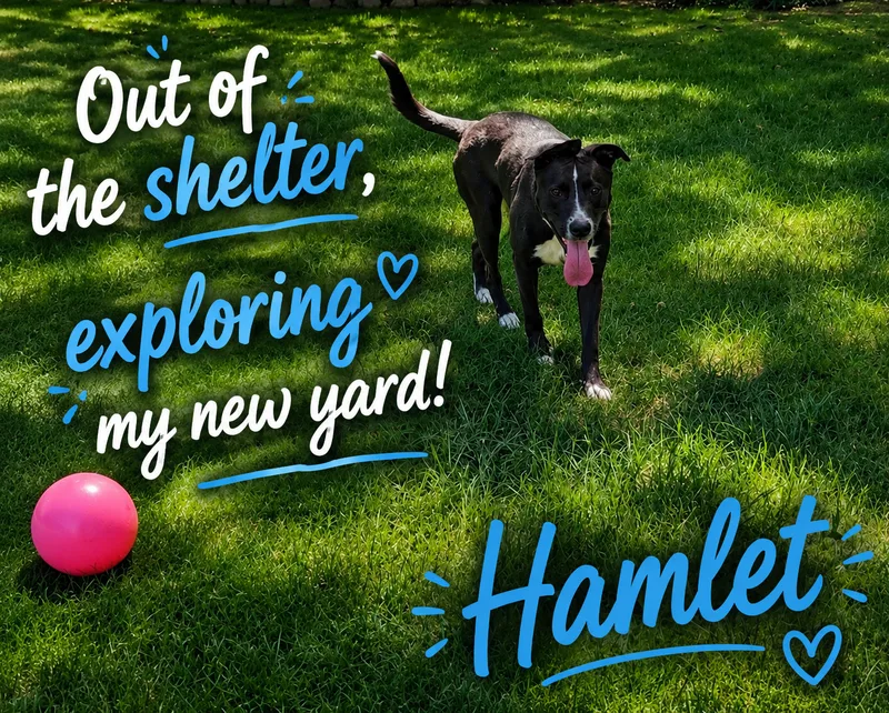 Hamlet