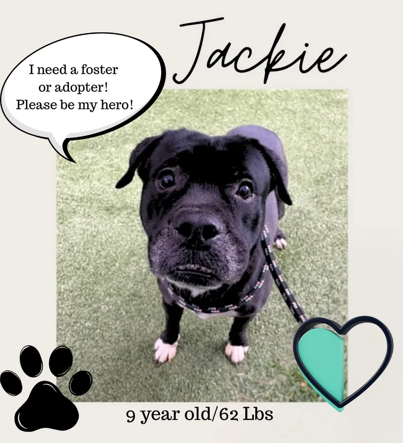 Jackie