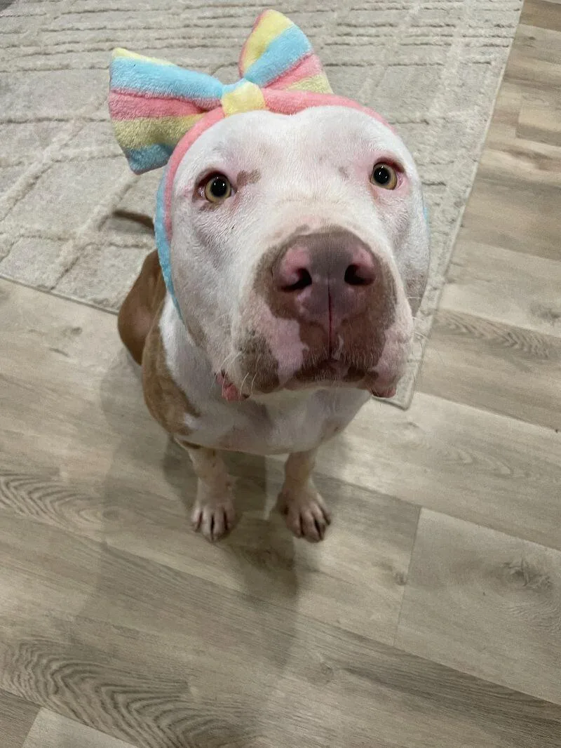 Penelope thumbnail 6