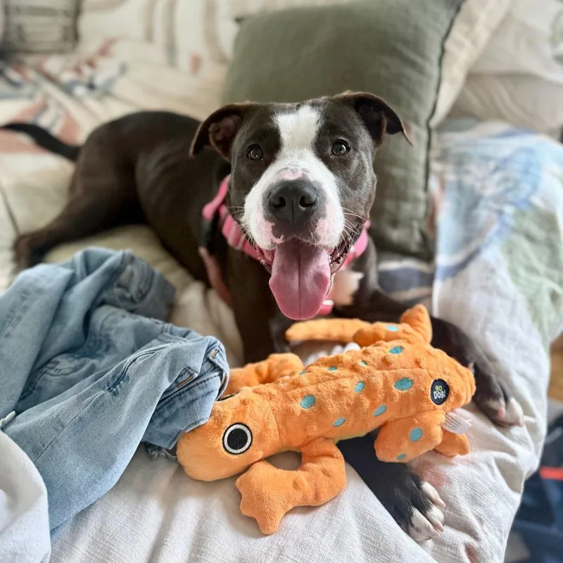 Tinkerbell thumbnail 2