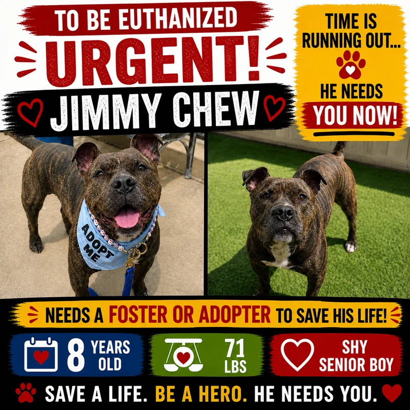 Jimmy Chew (JC) thumbnail 5