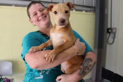 Penelope thumbnail 2