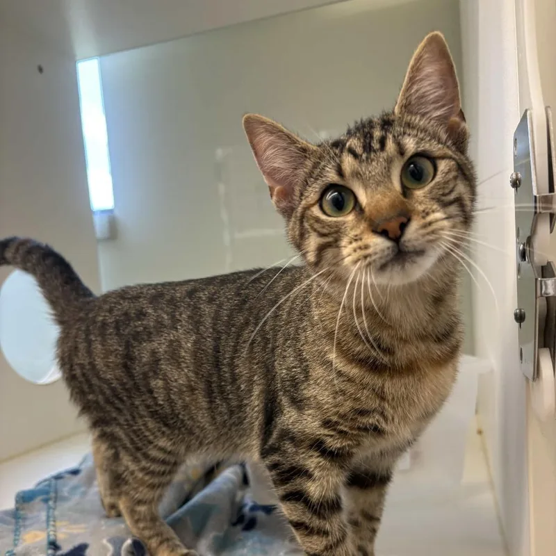 Maybelline thumbnail 2