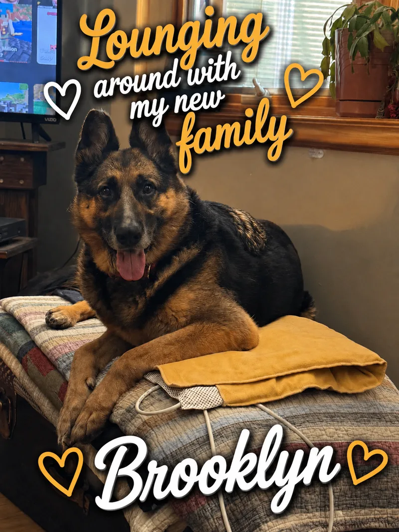Brooklyn thumbnail 2