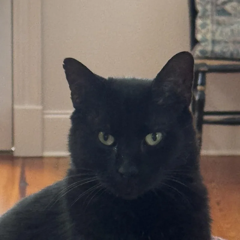 William
