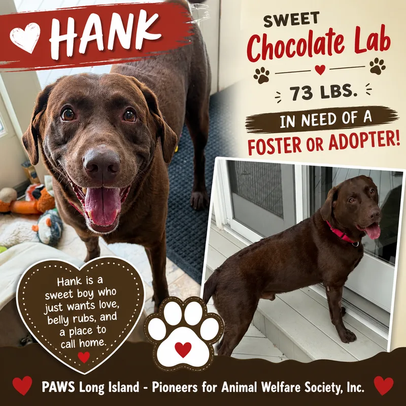 Hank