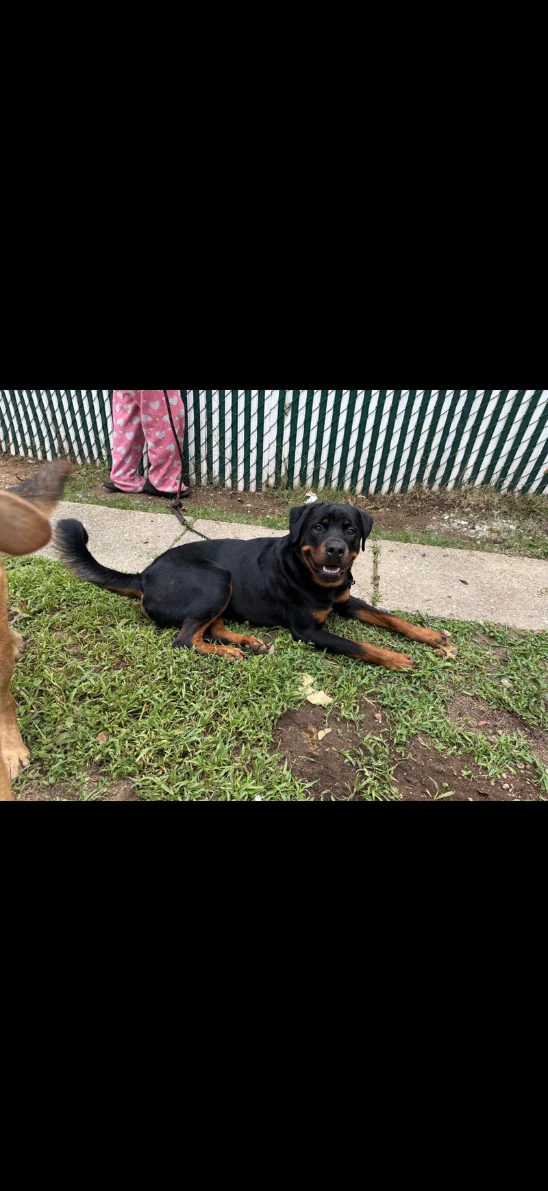 Bubba