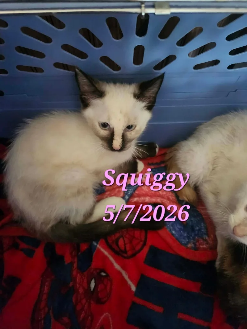Squiggy thumbnail 2