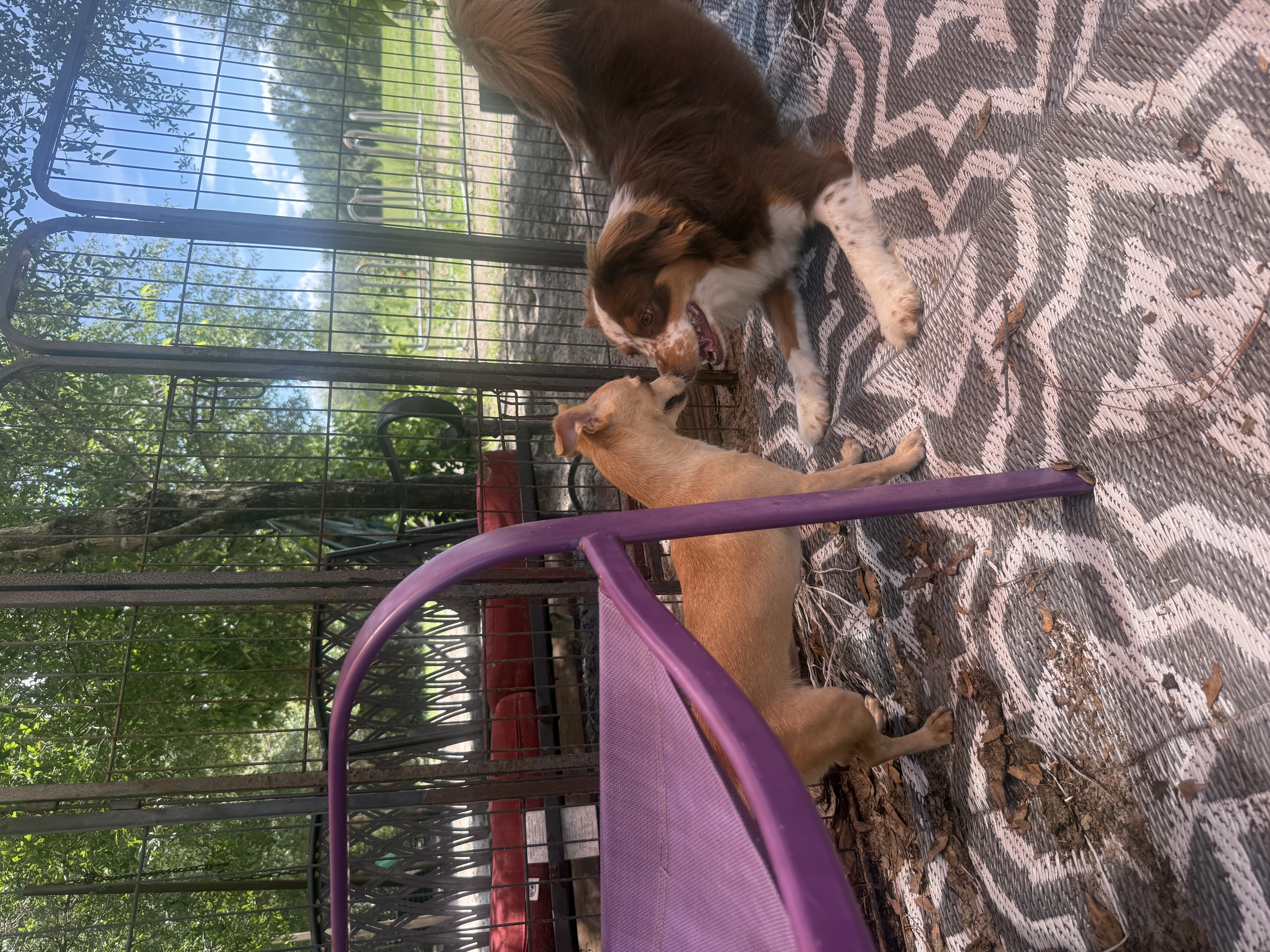 <opal thumbnail 3