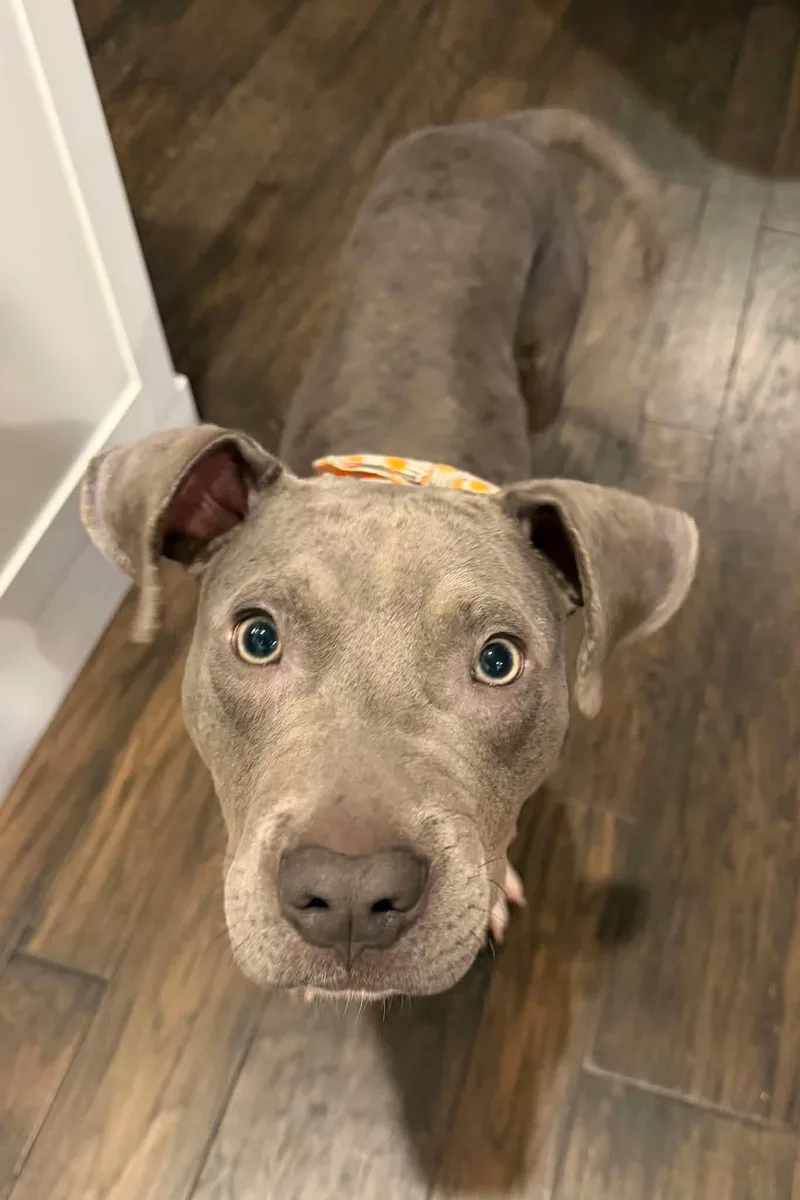 Zeke
