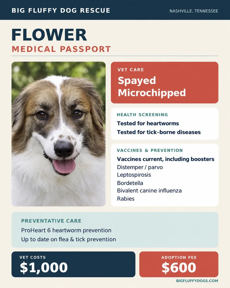 Flower thumbnail 2