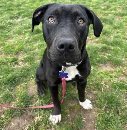 Little Lady thumbnail 2