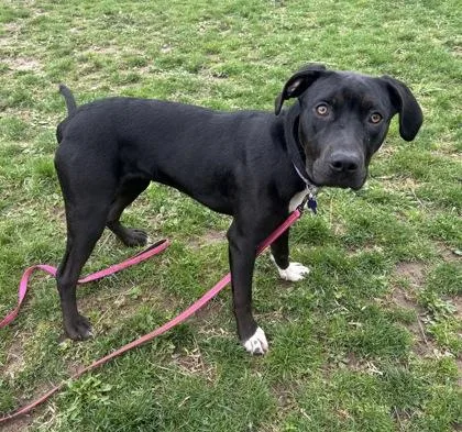 Little Lady thumbnail 3