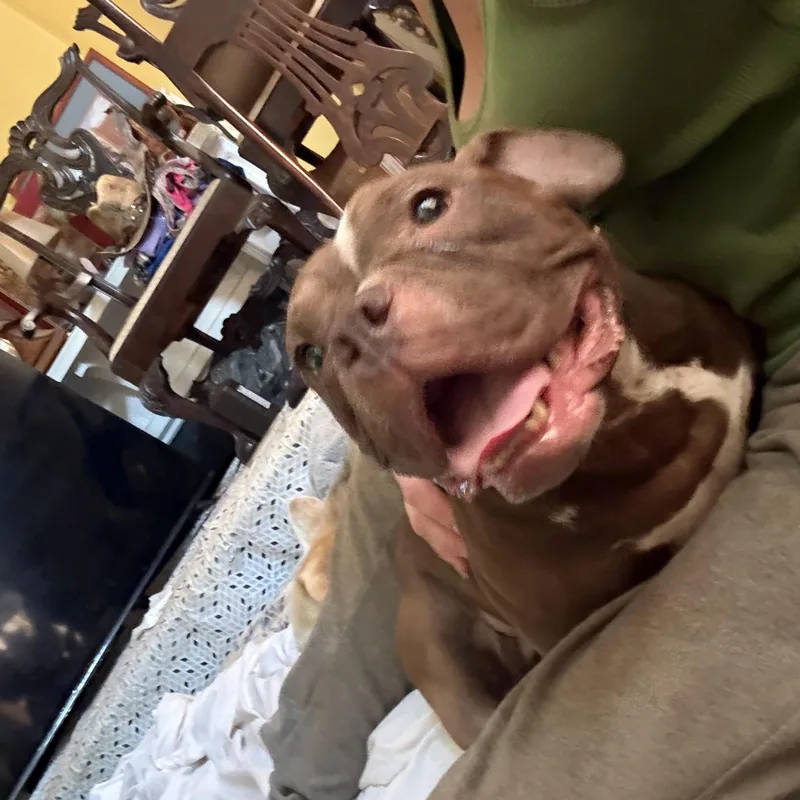 Truffles thumbnail 2