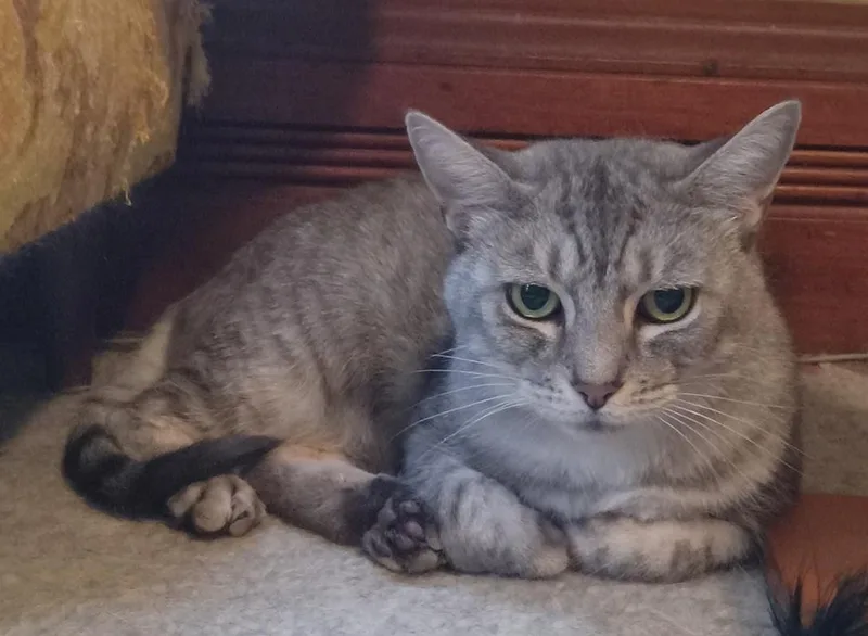 Steely Jan thumbnail 2