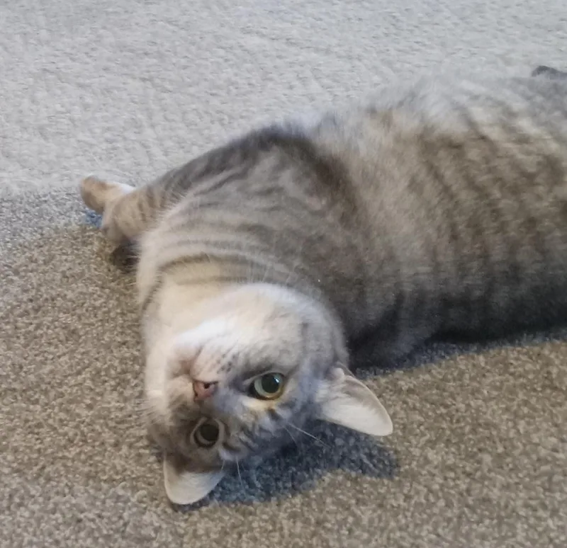 Steely Jan thumbnail 3