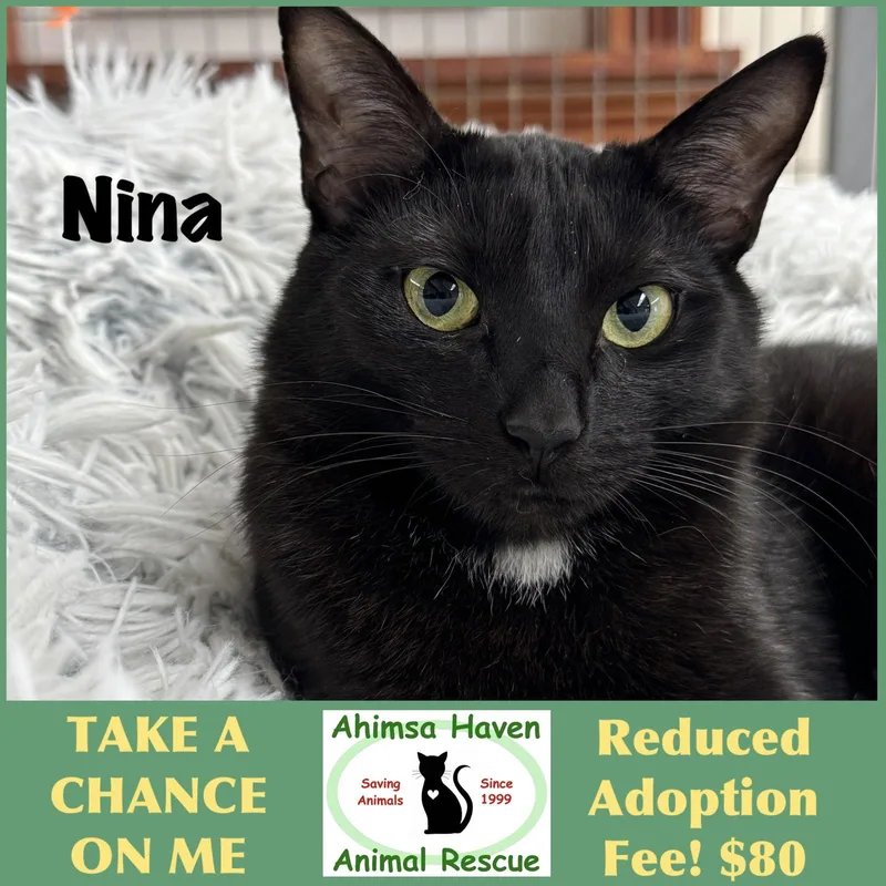 Nina thumbnail 2
